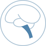 Neurology icon showing a human brain
